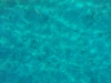 So muss das Wasser sein
