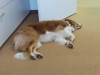 Pause im Büro