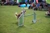 beim Agility