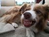 ist-doch-zum-lachen