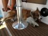 urlaub-auf-dem-boot
