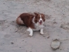 Spielen am Strand