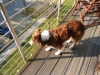 mal vom Balkon gucken