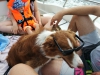 auf dem Boot